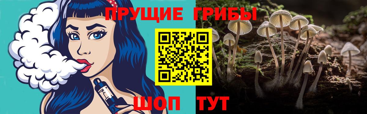 Псилоцибиновые грибы ЛСД  Вход с VPN  Псилоцибиновые грибы GOLDEN TEACHER  Осинники 