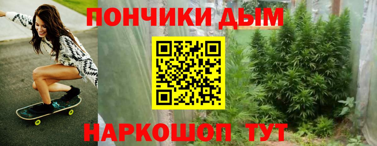 Конопля Amnesia  Бошки Шишки семена  Вход с VPN  Канабис VHQ  Каннабис план  Осинники 